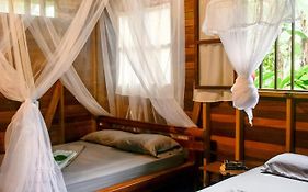 La Tarima Del Colibri Ecolodge